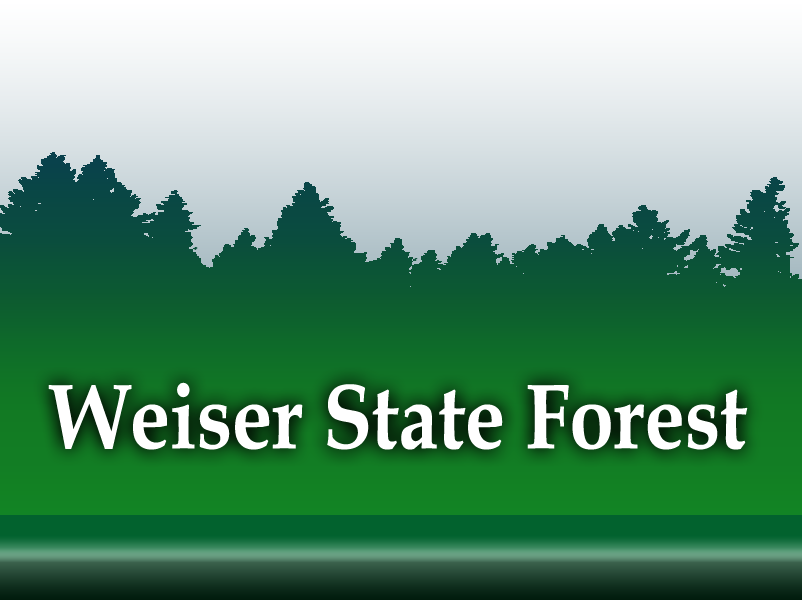 Weiser State Forest
